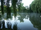 Teich am Schloß Entenfang